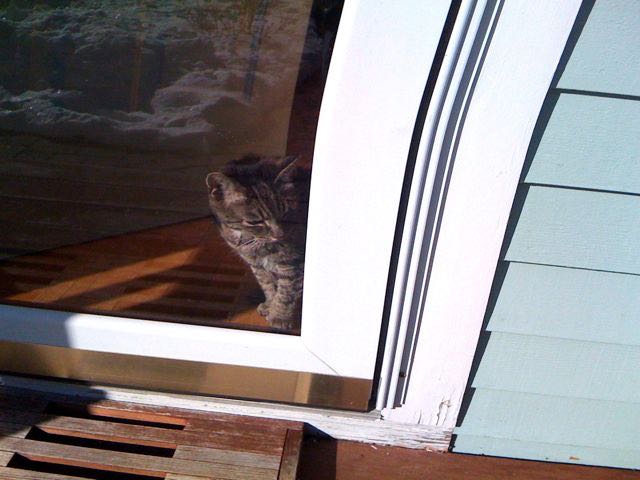 January 17 - I'd Like To Go Out, But It's Too Cold.jpg