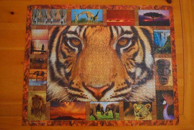January 8 - Tiger Jigsaw.jpg