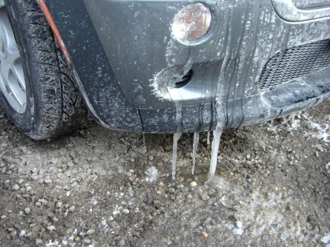 February 20 - Carcicle.jpg