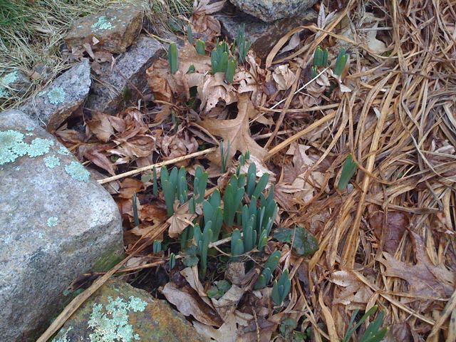 March 19 - Coming Up.jpg