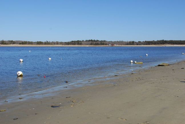 March 21 - Damariscotti.jpg