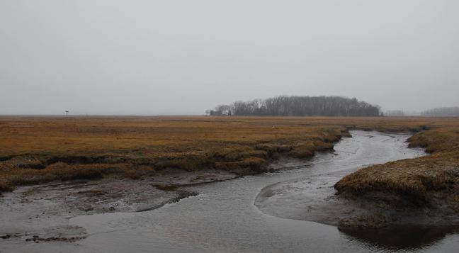 March 27 - Gray Day.jpg