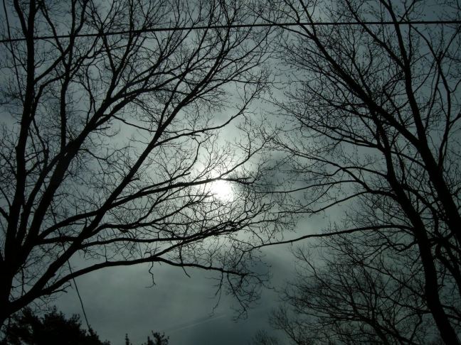 April 20 - Through The Sunroof.jpg