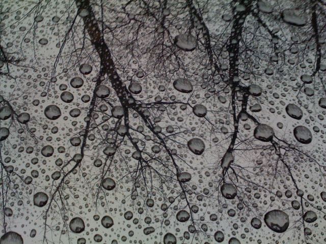 April 21 - Rain Drops.jpg