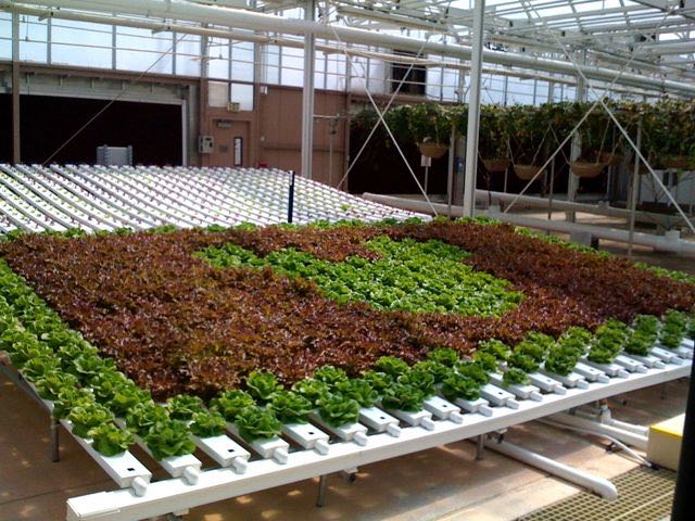 April 28 - Hidden Mickeys.jpg