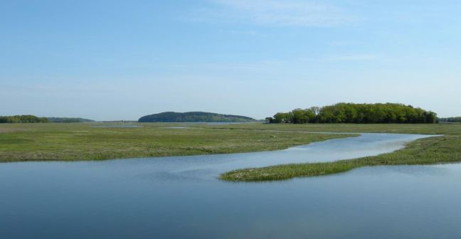 May 20 - Back To The Essex River.jpg