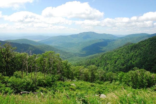 June 22 - Skyline Drive.jpg