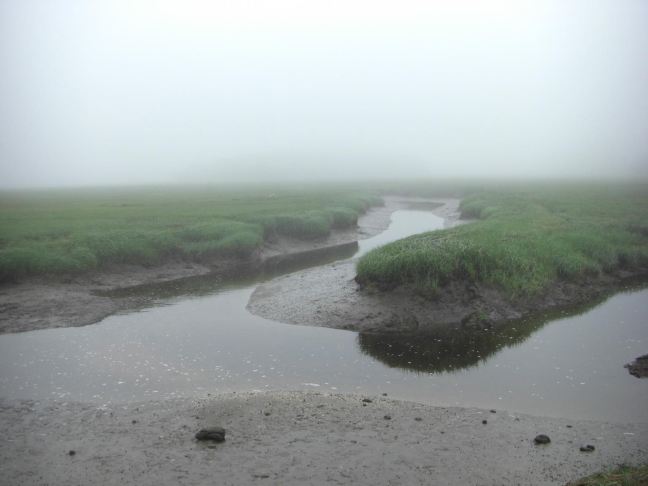 June 25 - Fog (not) On The Tyne.jpg