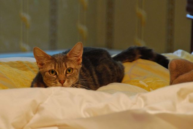 June 28 - Freddie & Frida.jpg