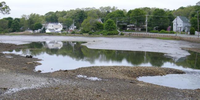 June 9 - Low Tide.jpg