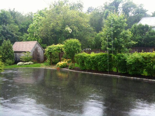 July 2 - Lots Of Rain.jpg