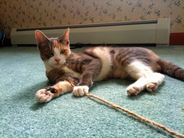 July 26 - Play Time.jpg