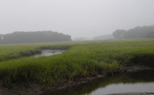 August 24 - Wetter.jpg