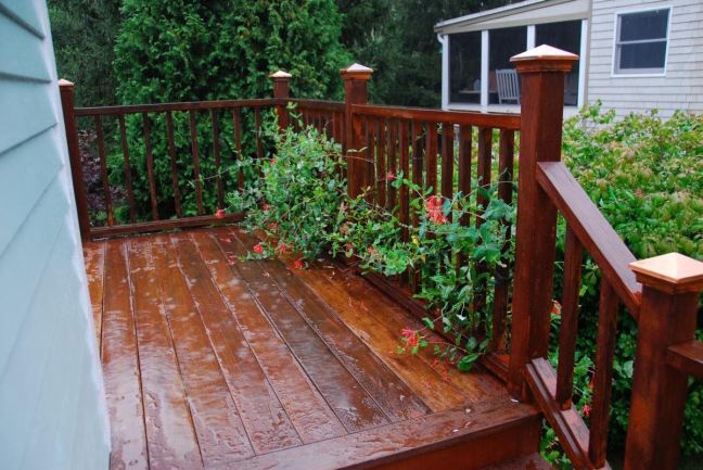 August 29 - I Don't Like The Rain.jpg