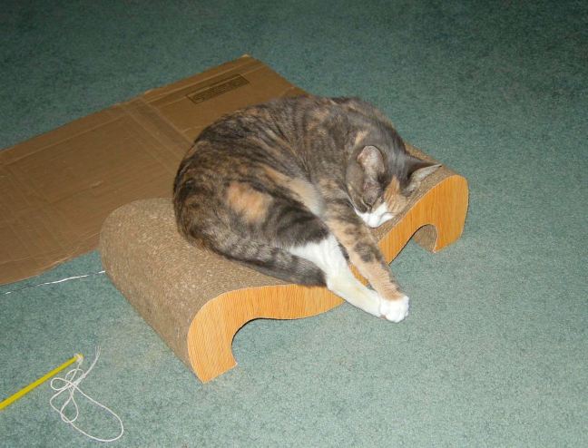 September 29 - Chloe At Home.jpg