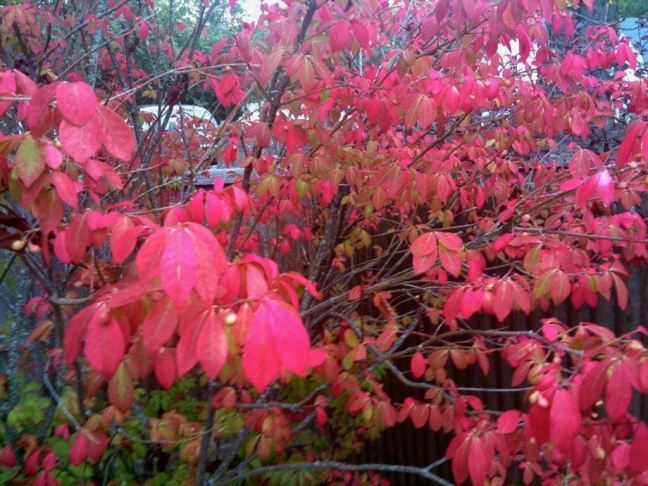 September 30 - The Colors Are Coming.jpg