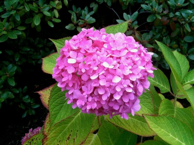 October 1 - Different Color.jpg