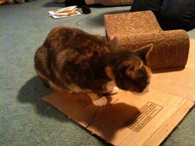 October 16 - Back With Chloe.jpg