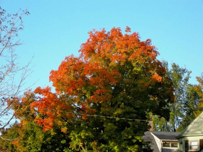 October 19 - Colors.jpg