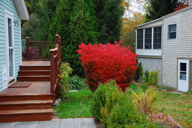 October 22 - Red!.jpg