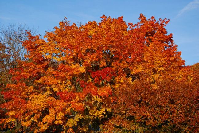 October 27 - Glowing.jpg