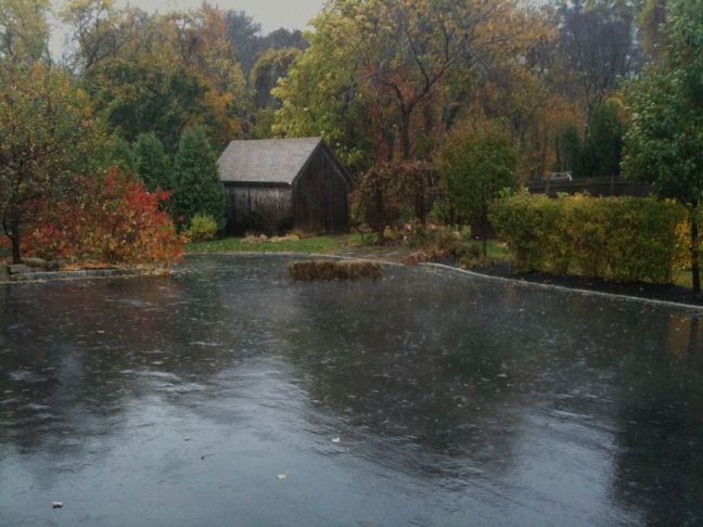 October 28 - Wet Wet Wet.jpg