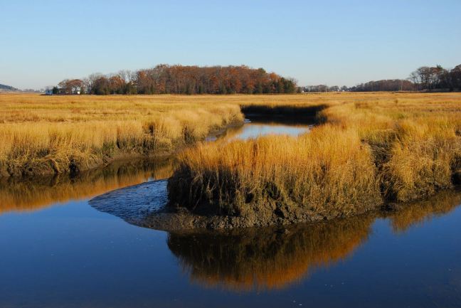 November 11 - Essex River Fall Colors.jpg