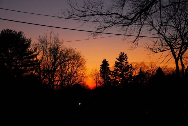 November 9 - Another Sunset.jpg