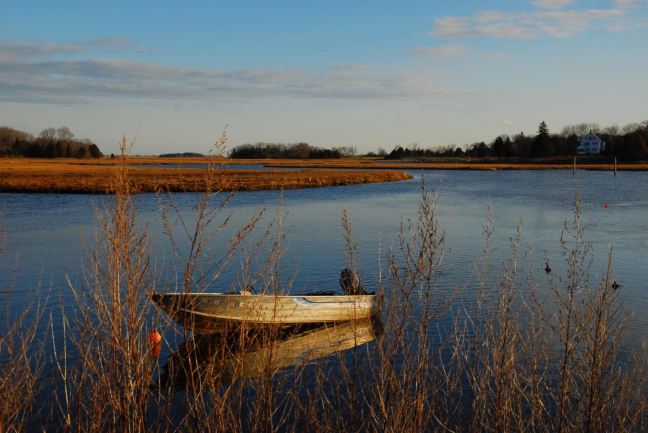 December 10 - No Snow Today.jpg