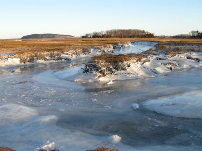 December 18 - Thicker River Ice.jpg