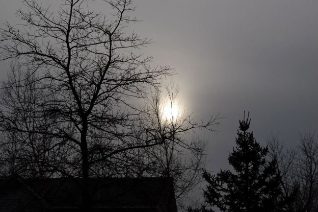 December 19 - Snow Is Coming.jpg